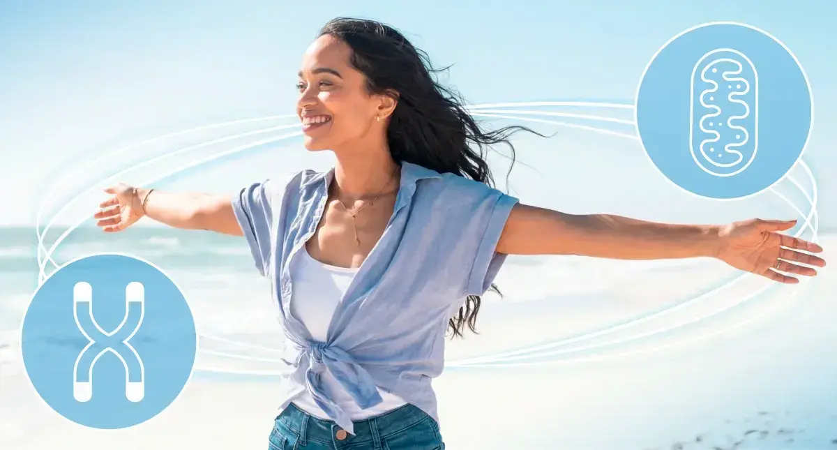 3 Big Ways Telomeres Boost Mitochondria 3 Big Ways Telomeres Boost Mitochondria